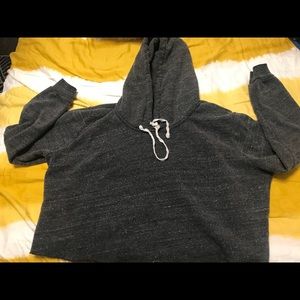 Brandy Melville Cropped Hoodie